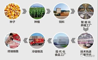 春雪与京东携手，开启农牧企业数字化新篇章