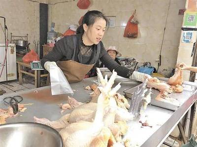 家禽“禁杀令”落地难，曲靖农贸市场现宰现象引思考