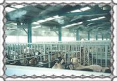 广州铭田喷雾系统 专业喷嘴与喷雾解决方案的领先供应商