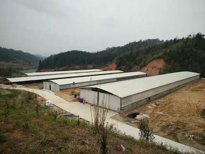 苗木铺就环保创业路，家禽奏响绿色致富曲——余坊乡上农苑家庭农场荣膺省级巾帼示范基地