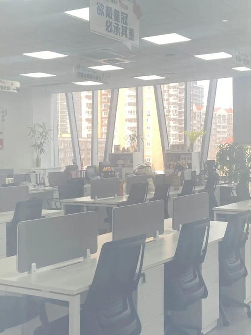 钟薛高创始人林盛 卖红薯也要把债还上的企业家担当