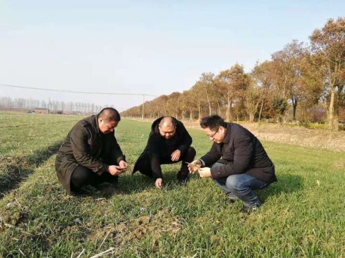 科技助农忙 建湖田野春来早