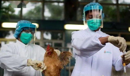 农业投资盈利之道 在入手农产品前务必厘清的七个关键问题