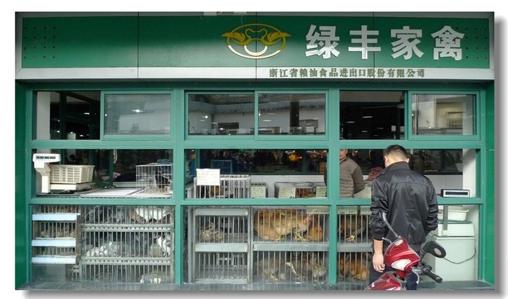 市井烟火中的生命交响 浙江汉一农贸市场的家禽销售纪实