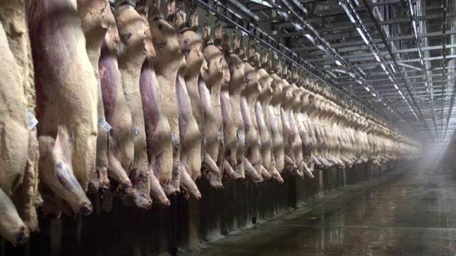 美国“屠夫之王”的生意经 从肉铺到13亿美食帝国